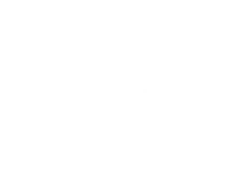 Fc Basel Logo