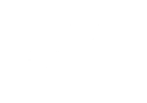 Hasena AG Logo