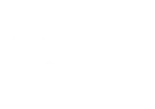 Ramseyer Elektro AG Logo